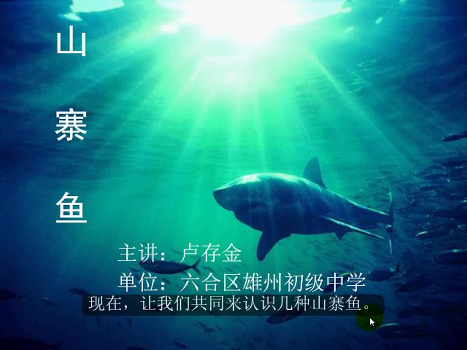 初中生物《山寨鱼》卢存金(雄州初中)