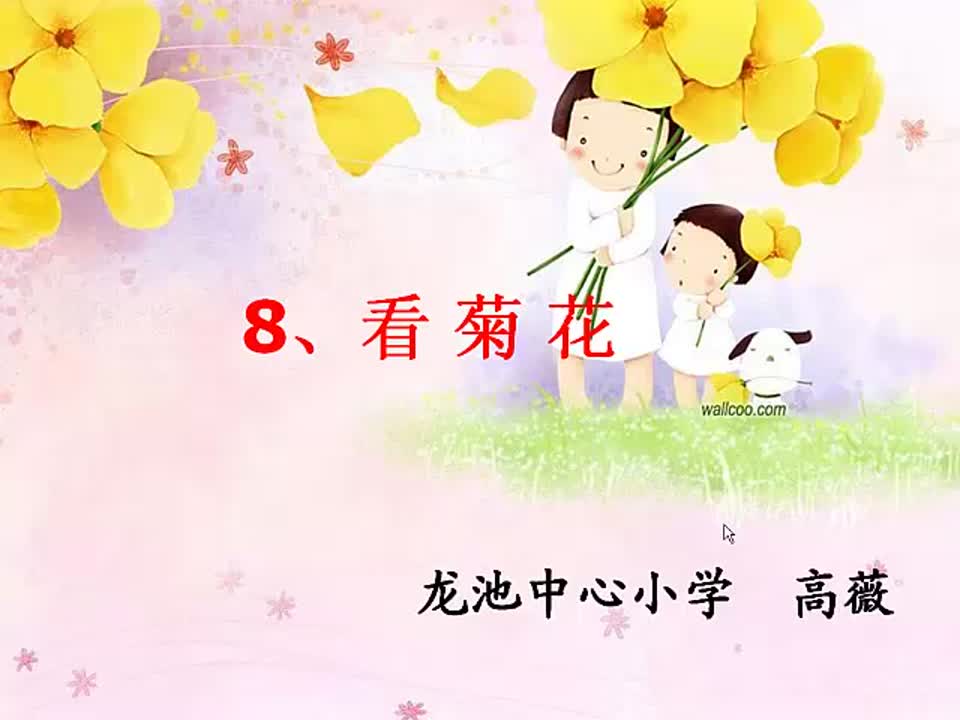 小学语文《看菊花—苏教版语文一年级第二册第八课第二段学习指导》高薇 龙池中心小学