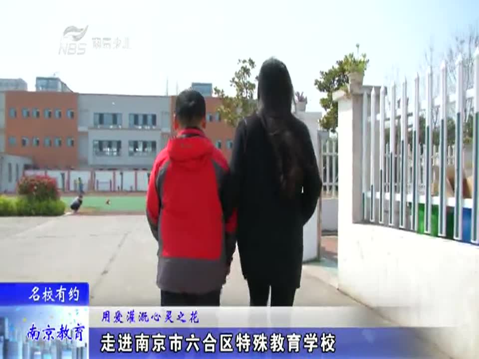 用爱灌溉心灵之花-区特殊教育学校