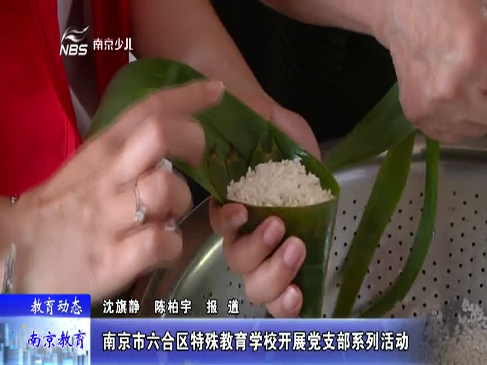 六合区特殊教育学校开展党支部系列活动