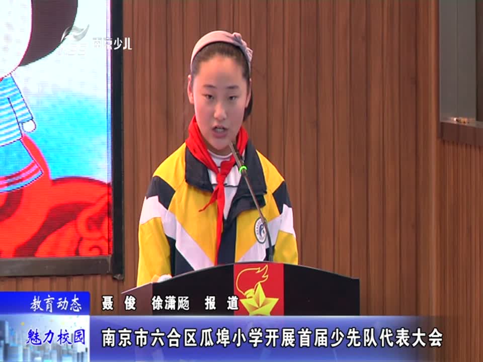 瓜埠小学开展首届少先队代表大会