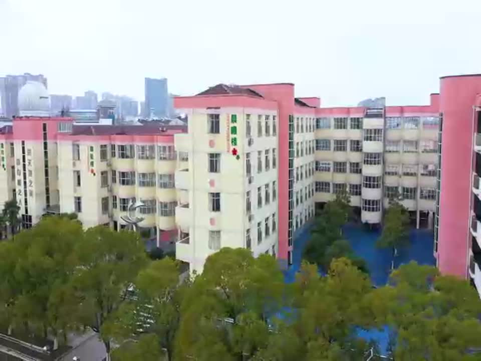 双语小学2019-2020第一学期工作总结