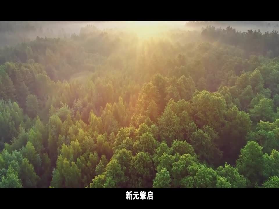 2022我们追光前行